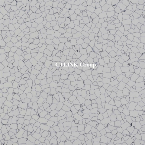 Sàn nhựa Vinyl chống tĩnh điện ESD Work 